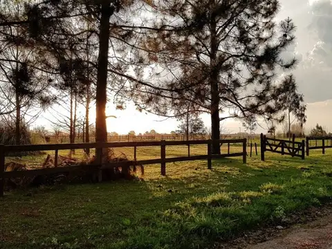 Haras El Malacate, Exaltación de la Cruz