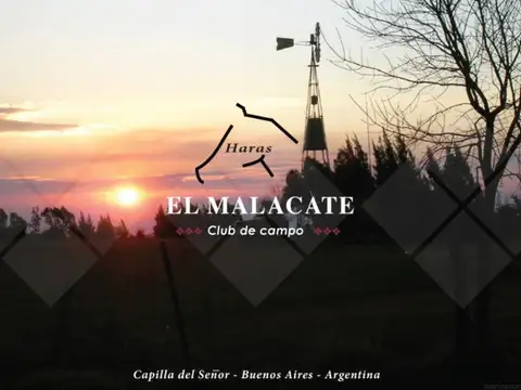 Haras El Malacate, Exaltación de la Cruz