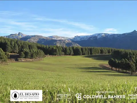 Terreno en Venta en San Martin de los Andes, USD 90.000