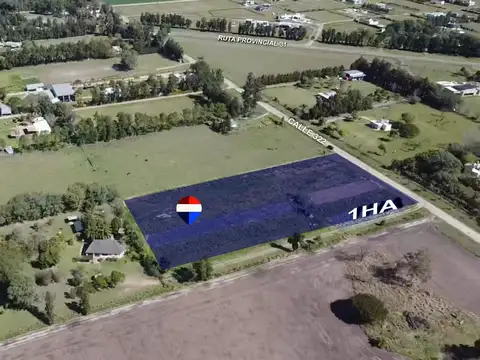 Se vende 1HA acceso norte de Avellaneda