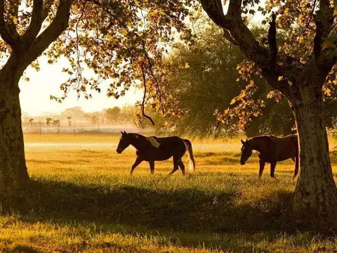Oportunidad de tener tu lote en Villa María, sector arbolado. Máximo Paz-Canning-Ezeiza.