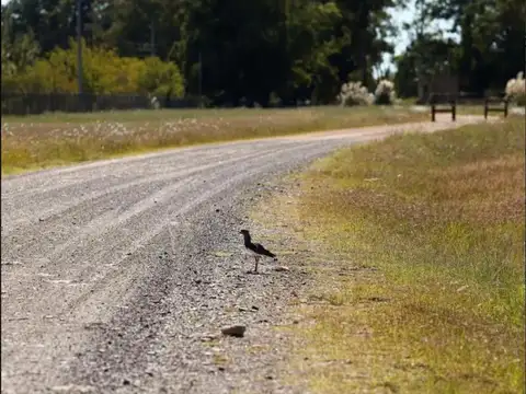 Terreno en Venta en Estancia Villa Maria, USD 37.000