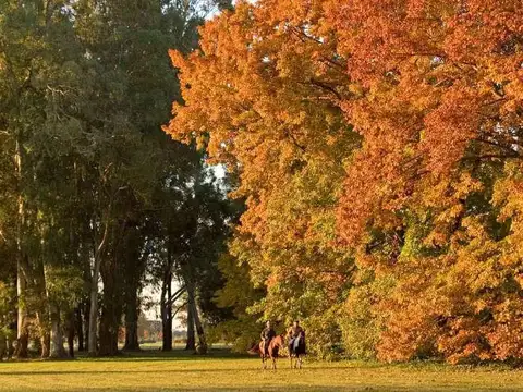 Estancia Villa María