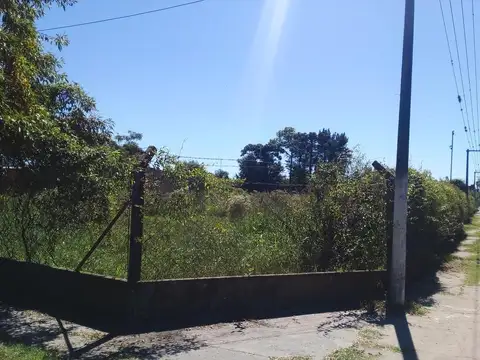 Terreno - Nelson