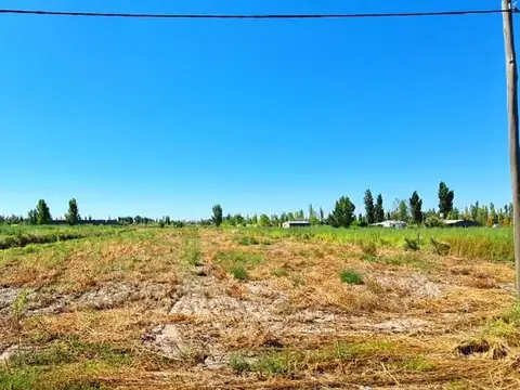 TERRENO 12.500 M2 SALTO DE LAS ROSAS - SAN RAFAEL