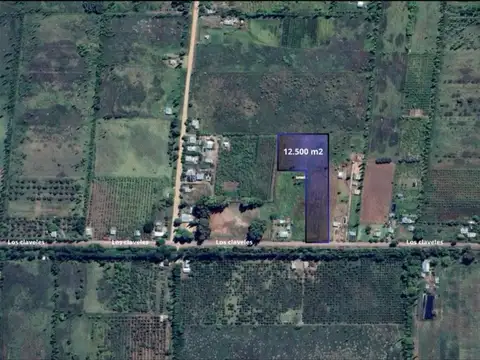 TERRENO 12.500 M2 SALTO DE LAS ROSAS - SAN RAFAEL