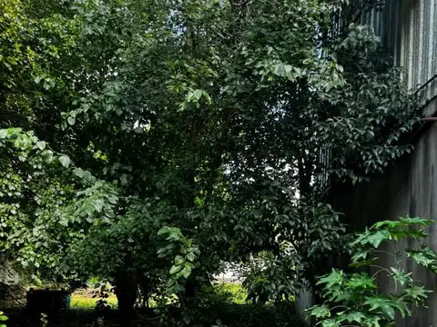 Av. Pte. Juan D. Peron 3300