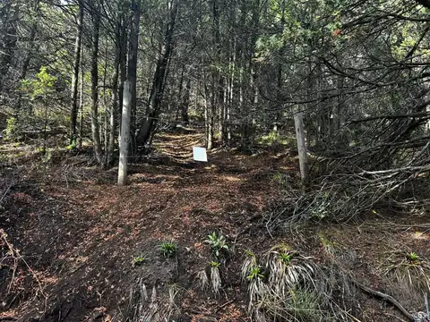 Terreno en Venta de 1307,0 m2