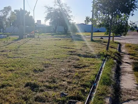 TERRENO  NUEVA  ITALIA EN ESQUINA  USD 20.000
