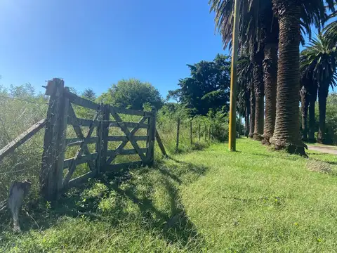 Ruta Nacional 215 s/n