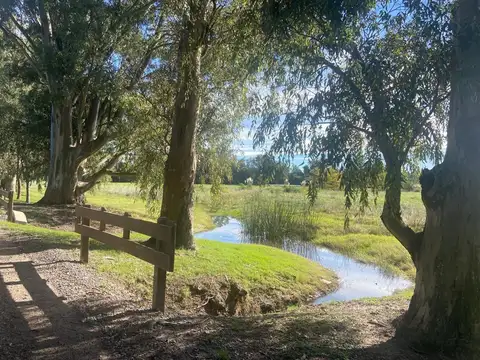 Terreno en Venta de 12800,0 m2