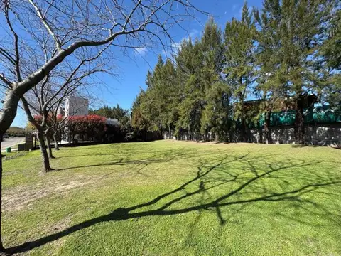 Avenida Constituyentes 2200