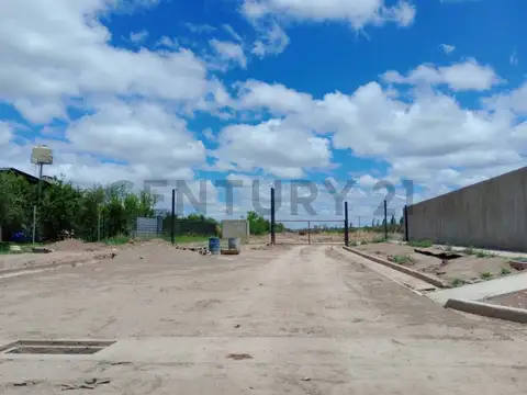Terreno en Venta de 317,0 m2