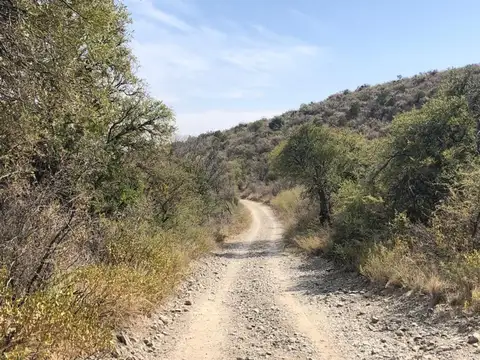 Terreno en Venta en Cortaderas, Chacabuco