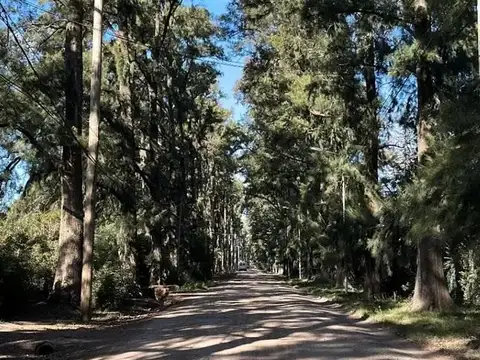 venta Terreno lote 300 m2 10x30 con escritura barrio yei pora tortuguitas