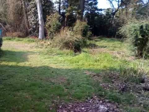 Aberastain Hermoso Estilo