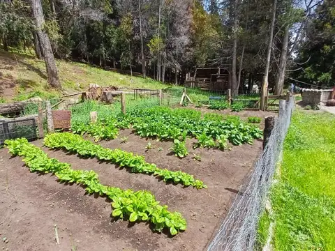 Campo de 200 hectáreas sobre ribera Rio Ternero