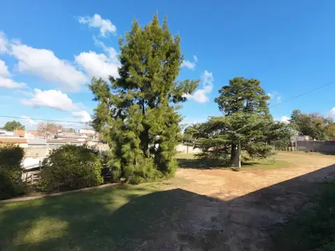 Ricardo Rojas 1600