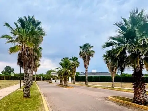 Buenos Vecinos