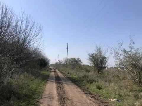 Terreno en Venta en Arturo Segui, USD 77.000