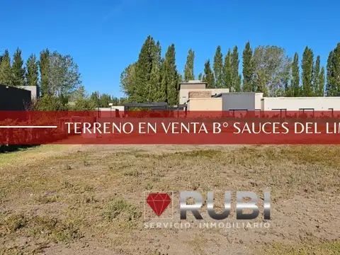TERRENO EN VENTA EN BARRIO PRIVADO SAUCES DE LIMAY