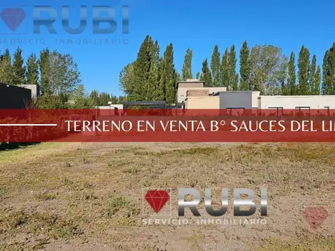 TERRENO EN VENTA EN BARRIO PRIVADO SAUCES DE LIMAY