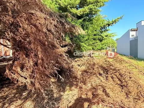 Terreno - Venta - Argentina, Pinamar