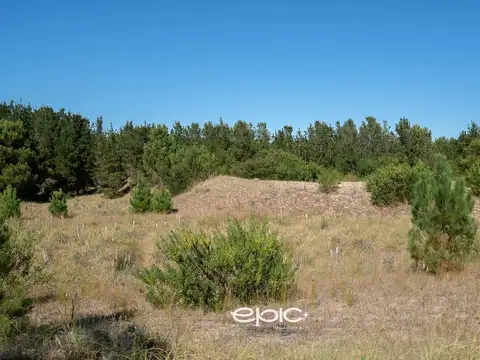 Santa Bárbara Lote 60 - Northbeach
