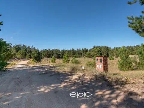 Terreno en Venta en Pinamar, USD 56.900