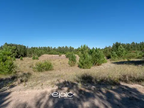Terreno en Venta de 1007,0 m2