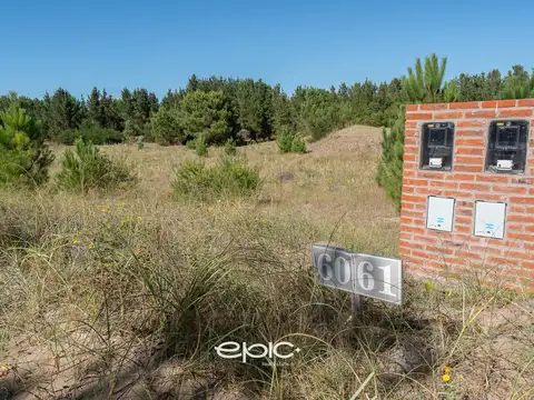 Terreno en Venta 50  mts Fondo