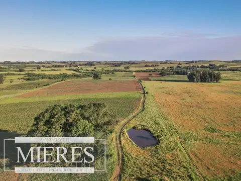 Chacra de 34ha con casa y arroyo en Maldonado