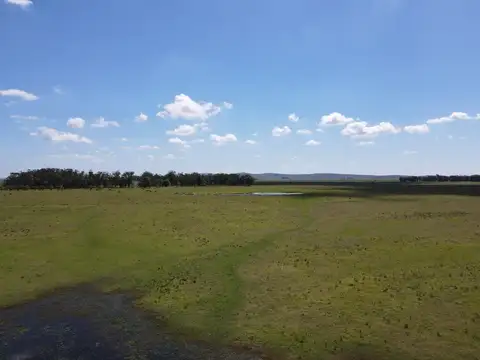 Ruta 9 km 330