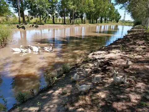 Terreno en Venta 28  mts Fondo