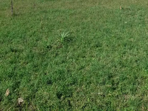 VENTA CAMPO 24 Ha. agropecuarias, APTO GRANJA, Emprendimiento o Cultivo