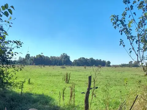 Ruta Provincial 39, (2500 mts ruta 39) Parada ORLANDO