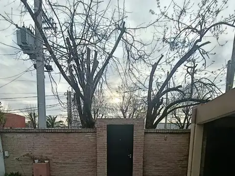 Laprida 100