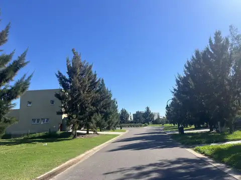 Terreno en Venta 42  mts Fondo