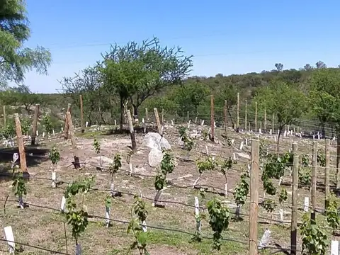 Terreno en Venta en Quebrada de los Pozos, USD 150.000