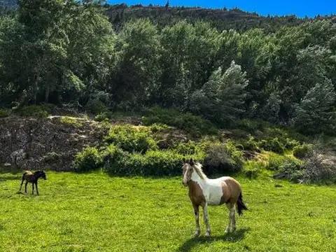 SE VENDE TERRENO, EL HOYO-CHUBUT