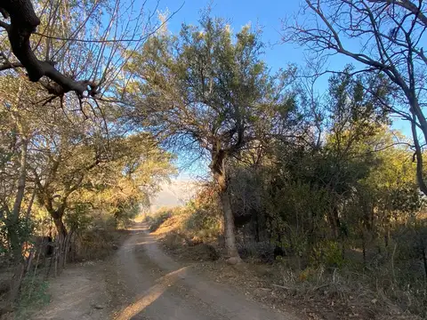 Terreno en Venta 61  mts Frente