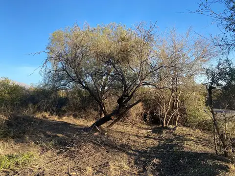 Lote de 4500 m2 sobre ruta Nº14 en Corralito - Traslasierras