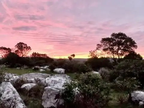 Campo - Venta - Uruguay, Maldonado