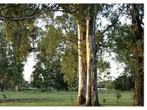 Terreno en Venta 20  mts Frente