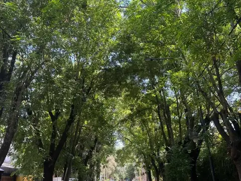 Héctor Basaldue 100 , Piso 0