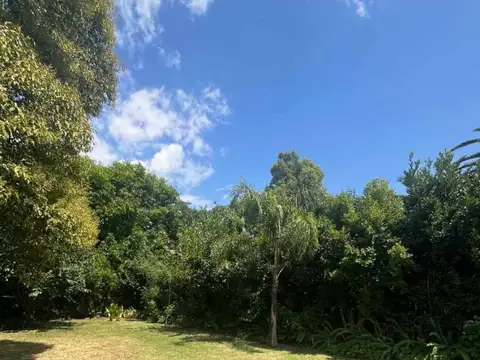 Terreno en Venta en Ricardo Rojas, USD 80.000