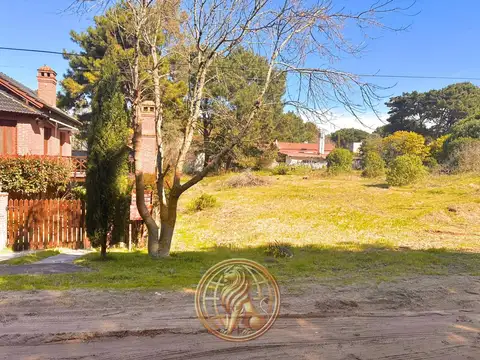 Comodoro C. Urtubey al 500