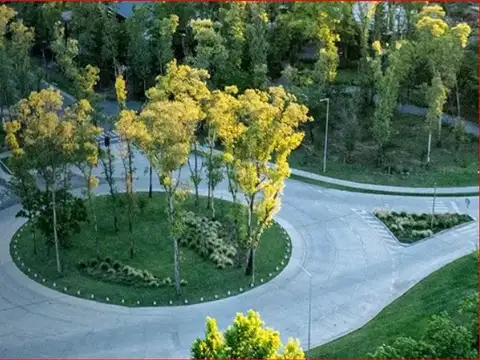 colectora ruta 20 100