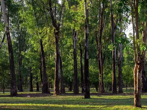 VENTA DE LOTE NVO MALAGUEÑO C/ESCRITURA SEGURIDAD