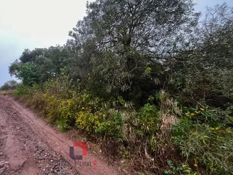 Sierra Nueva Mendiolaza
